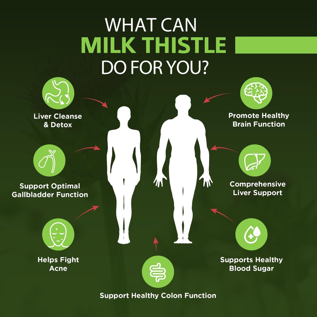 omnibiotics-organic-milk-thistle-supplem-71jCJQMCsML.jpg