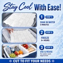 shipping-cold-packs-dry-ice-for-shipping-81xrgOh8zzL.jpg