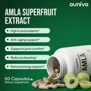 amla-capsules-1000mg-indian-gooseberry-a-71HIIRX2rGL.jpg