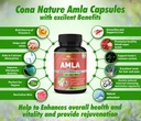 organic-amla-capsules-2250mg-arjuna-garl-81DOFM93E+L.jpg