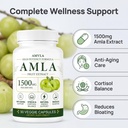 indian-gooseberry-amla-fruit-supplement--71NnHWC2jSL.jpg