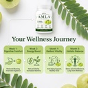 indian-gooseberry-amla-fruit-supplement--81NMD1kQhpL.jpg