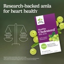 terry-naturally-healthy-cholesterol-with-81YXOAlpSYL.jpg