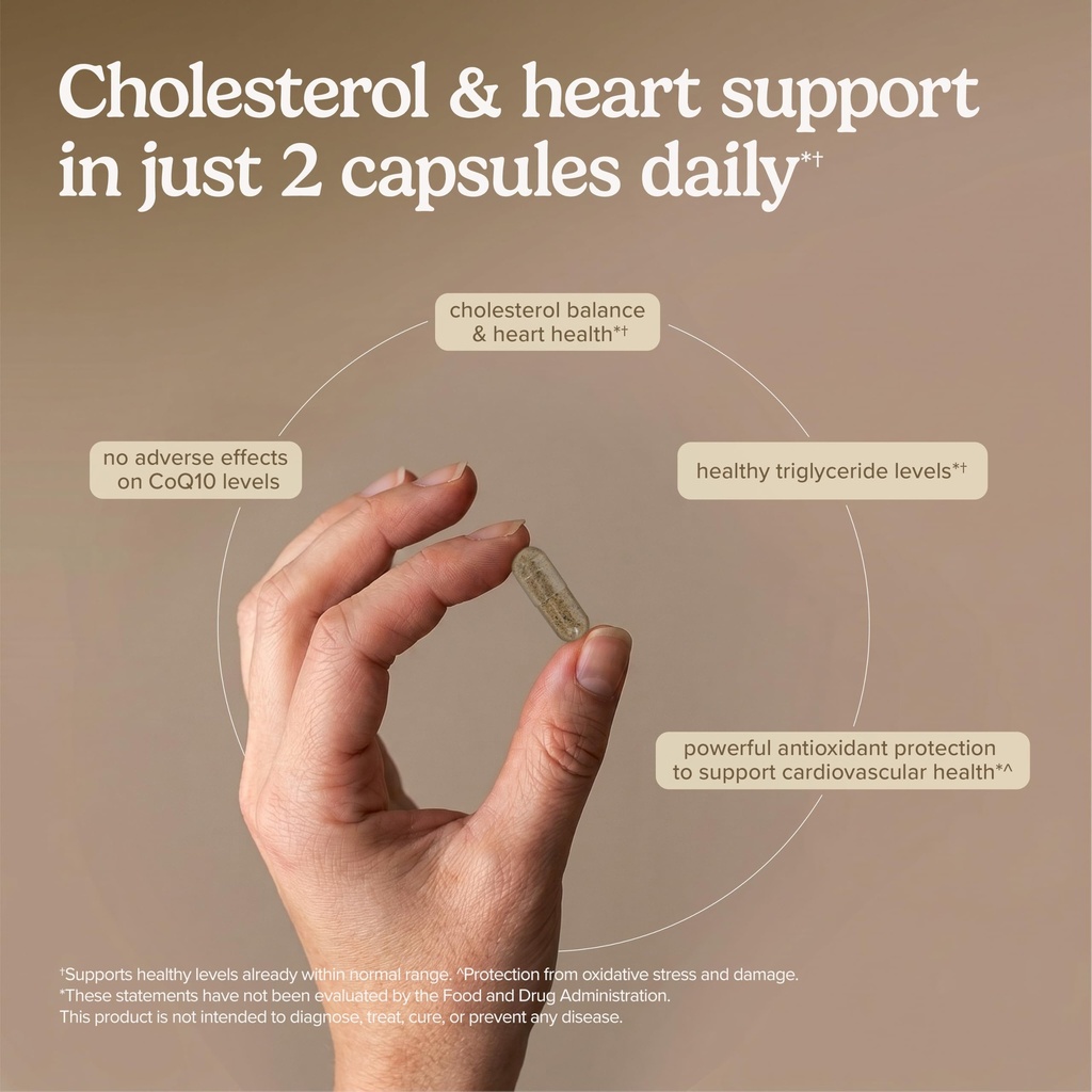 terry-naturally-healthy-cholesterol-with-81aJWEE9hvL.jpg