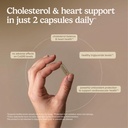 terry-naturally-healthy-cholesterol-with-81aJWEE9hvL.jpg