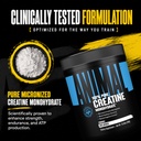 animal-creatine-monoydrate-powder-for-me-71PSrcUhLBL.jpg