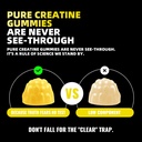creatine-monohydrate-gummies-nsf-certifi-71rodjOcMFL.jpg