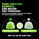 nsf-certified-creatine-monohydrate-gummi-71k-Vo5HceL.jpg