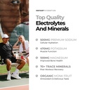 instant-hydration-sugar-free-electrolyte-71hItpCD4LL.jpg