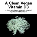 smarternutrition-vegan-vitamin-d3-5000-i-81T22EIjqUL.jpg