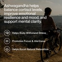 momentous-ashwagandha-supplement-noogand-816cx37PWqL.jpg