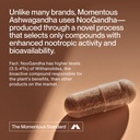 momentous-ashwagandha-supplement-noogand-81xhTPk4ONL.jpg