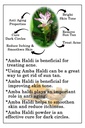 edible-amba-haldi-powder-200g-kasturi-ha-81q4mFEN5YL.jpg