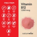 naturewise-vitamin-b12-1000-mcg-dietary--816SFhNRvwL.jpg
