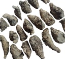 ayushiv-kali-haldi-curcuma-caesia-black--91ADxug0HIL.jpg