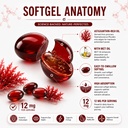 astaxanthin-12mg-natural-90-softgels-ast-71MGR+YxRCL.jpg