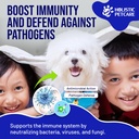holistic-pet-care-colloidal-silver-for-d-811C-phuKhL.jpg