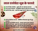 red-aloevera-julce-premium-high-miracle--61YY0lDGtgL.jpg