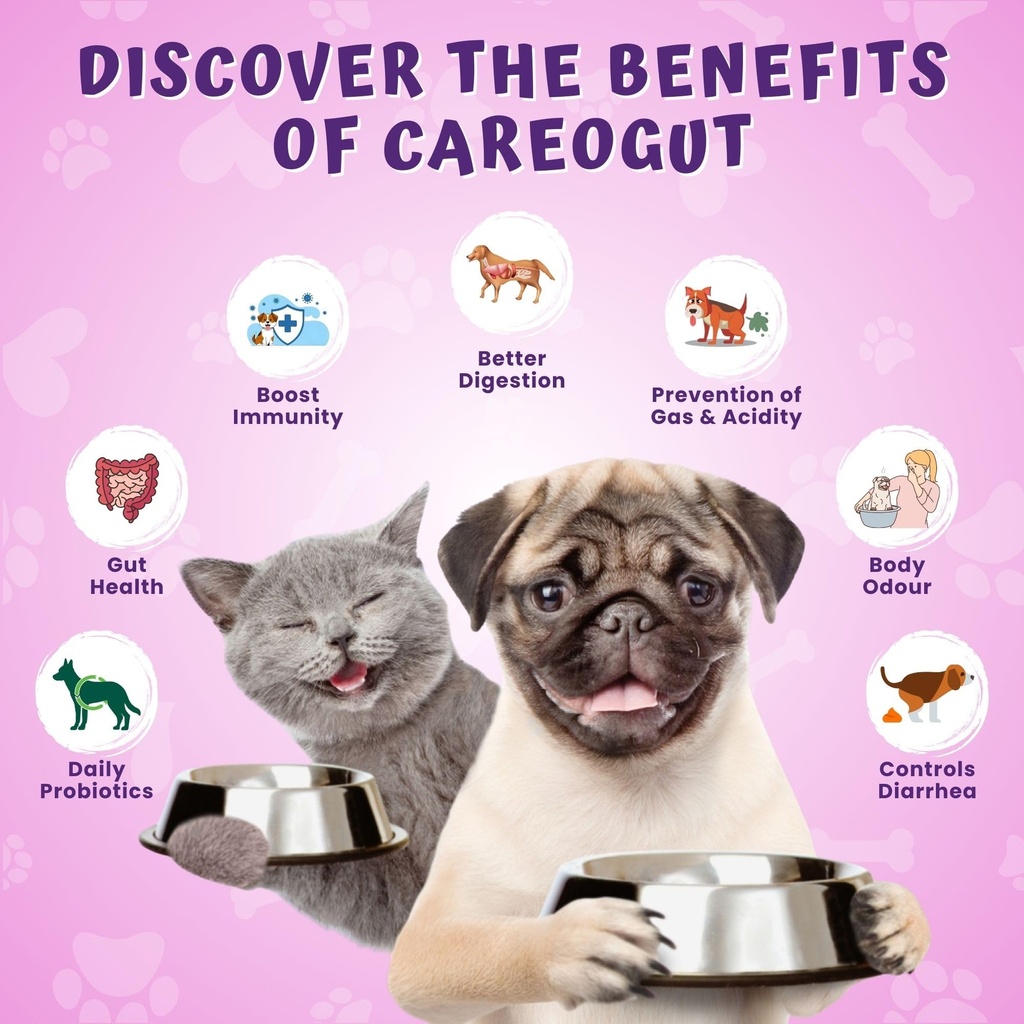 careogut-prebiotics-probiotics-for-dogs--81e-Nrrj3sL.jpg