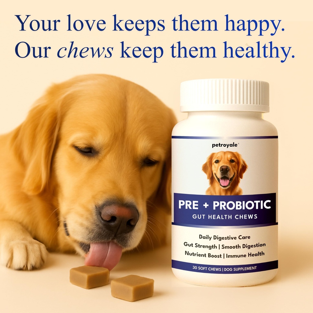 petroyale-dog-pre-probiotic-prebiotic-ch-810rnWRM2RL.jpg