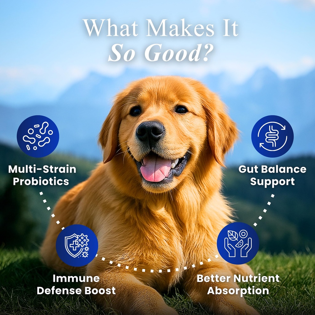 petroyale-dog-pre-probiotic-prebiotic-ch-81GgqZPXjEL.jpg