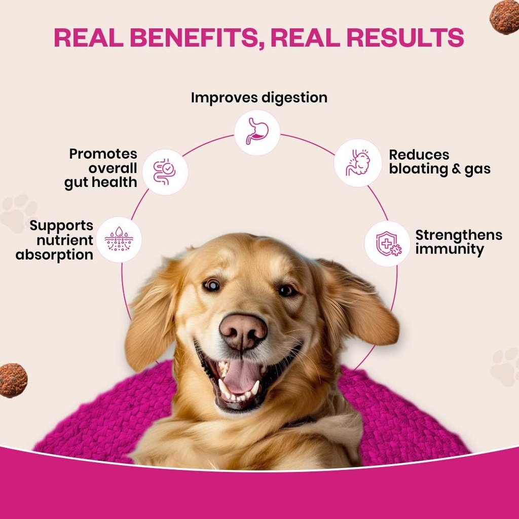 probiotic-soft-chews-supplement-for-dogs-61MxYQyGrLL.jpg