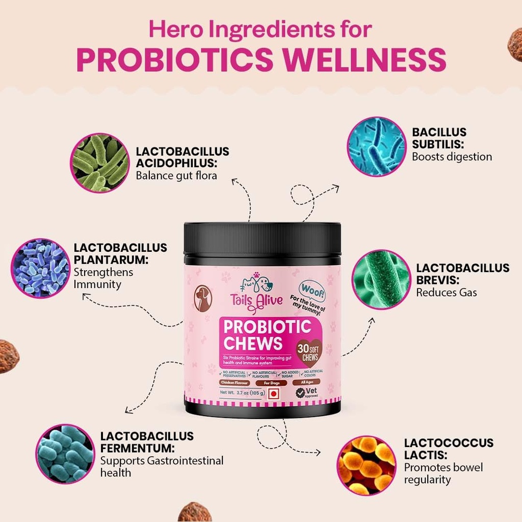 probiotic-soft-chews-supplement-for-dogs-61eXtWimBqL.jpg