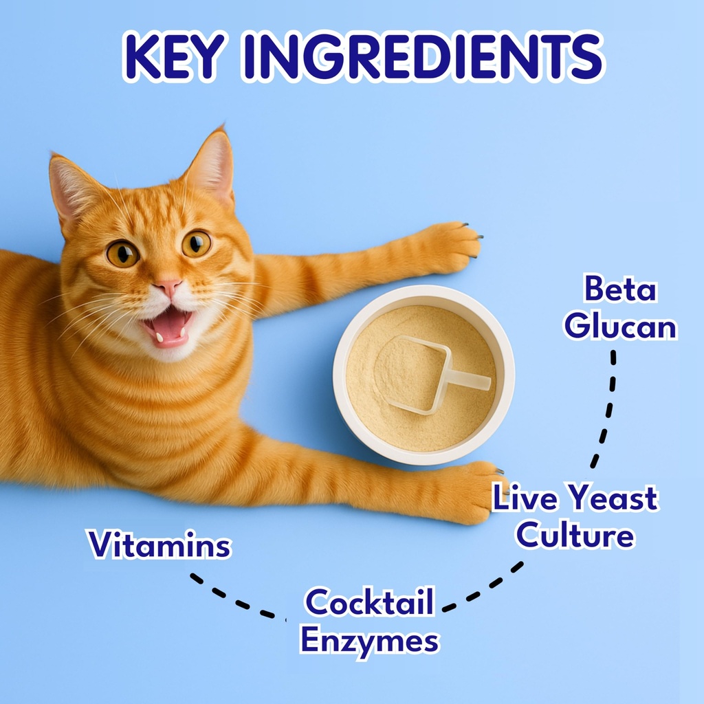 petroyale-cat-digestive-probiotics-cat-p-81o2G4NLD0L.jpg