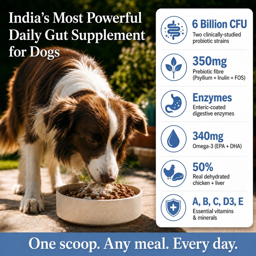 dog-gut-health-supplement-powder-6-billi-71EQa7wDdrL.jpg
