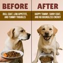 humane-hound-tummy-tick-prebiotics-probi-61U1aLORxpL.jpg