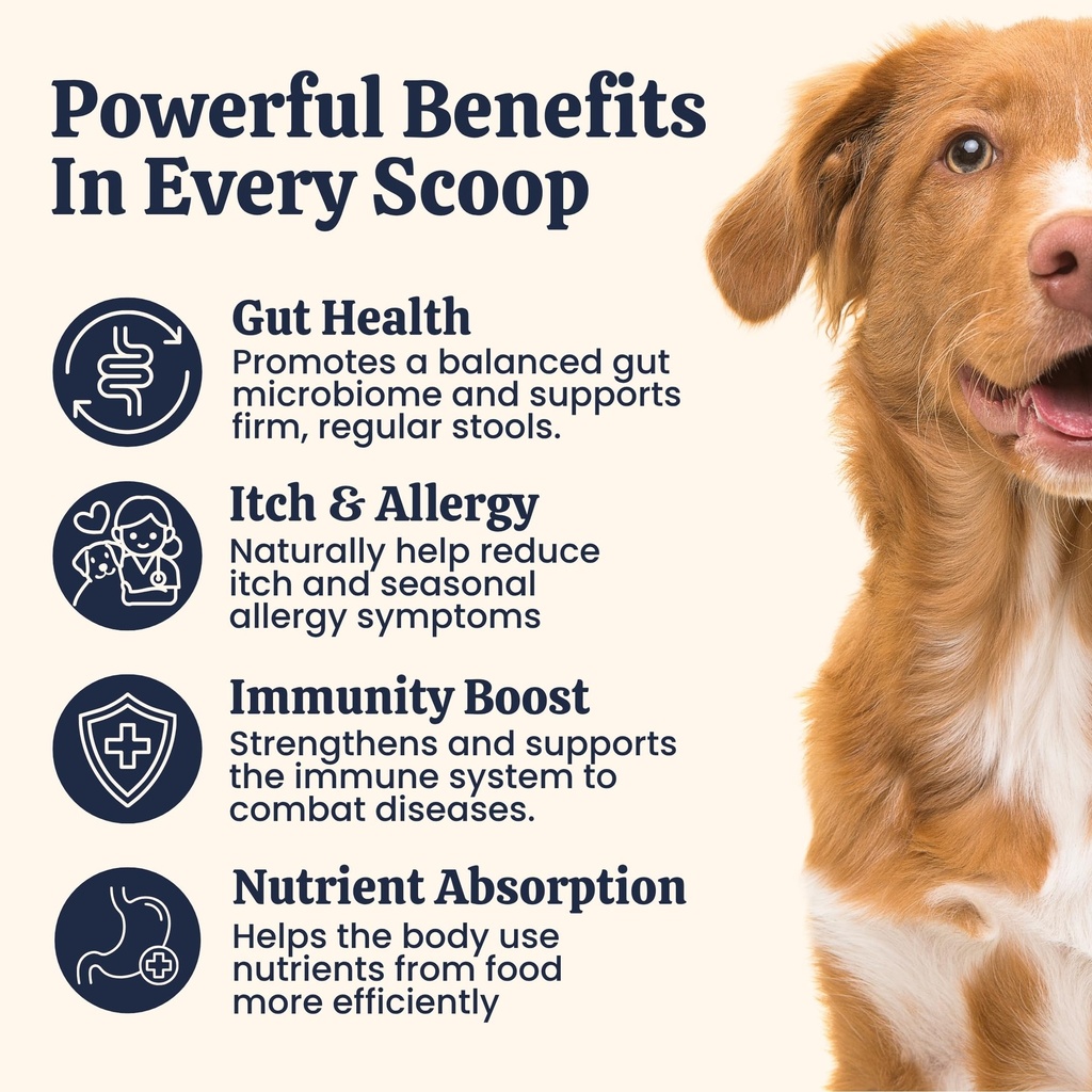 advanced-digestive-support-for-dogs-3-2--81lYnSa8oyL.jpg