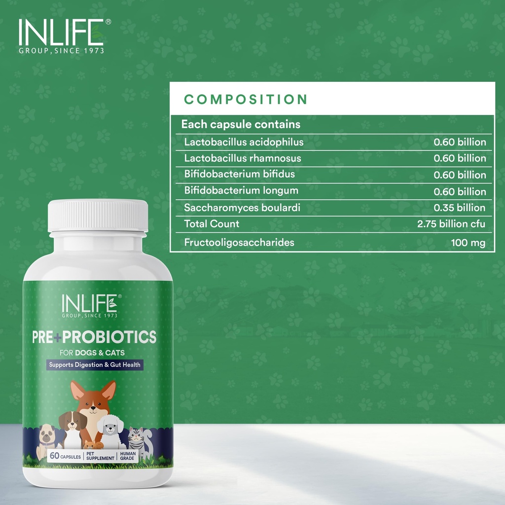inlife-pre-and-probiotics-supplement-for-81Z3S1VeyvL.jpg