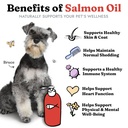 salmon-oil-for-dogs-cats-healthy-skin-co-81L8Q7VxKyL.jpg