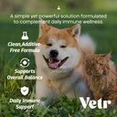 vetr-silver-immune-support-for-dogs-and--81Xe0wPExuL.jpg