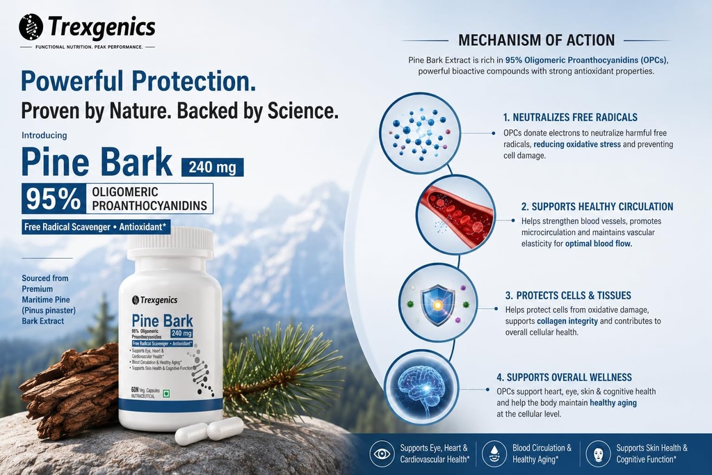 trexgenics-pine-bark-extract-95-oligomer-71H4IFCmEzL.jpg