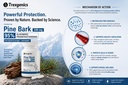 trexgenics-pine-bark-extract-95-oligomer-71H4IFCmEzL.jpg