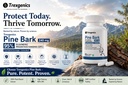 trexgenics-pine-bark-extract-95-oligomer-718h53AL70L.jpg