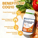 coq10-softgels-coenzyme-q10-supplement-4-71Rf7MOfVFL.jpg