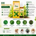 asclepius-exe-panch-tulsi-oil-ayurvedic--71VBfFKxEnL.jpg