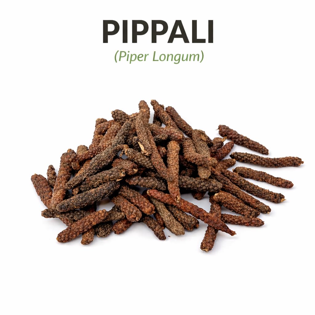 pippali-whole-50gm-long-pepper-raw-pipli-614360FNkYL.jpg