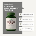 shilajit-plus-blend-of-shilajit-ashwagan-51xtJ6VebOL.jpg