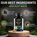 shilajit-gold-capsule-boosts-stamina-ene-71fpIgkNpPL.jpg