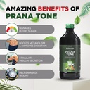 karmark-prana-tone-450-ml-diabetic-care--71UcZzADiLL.jpg