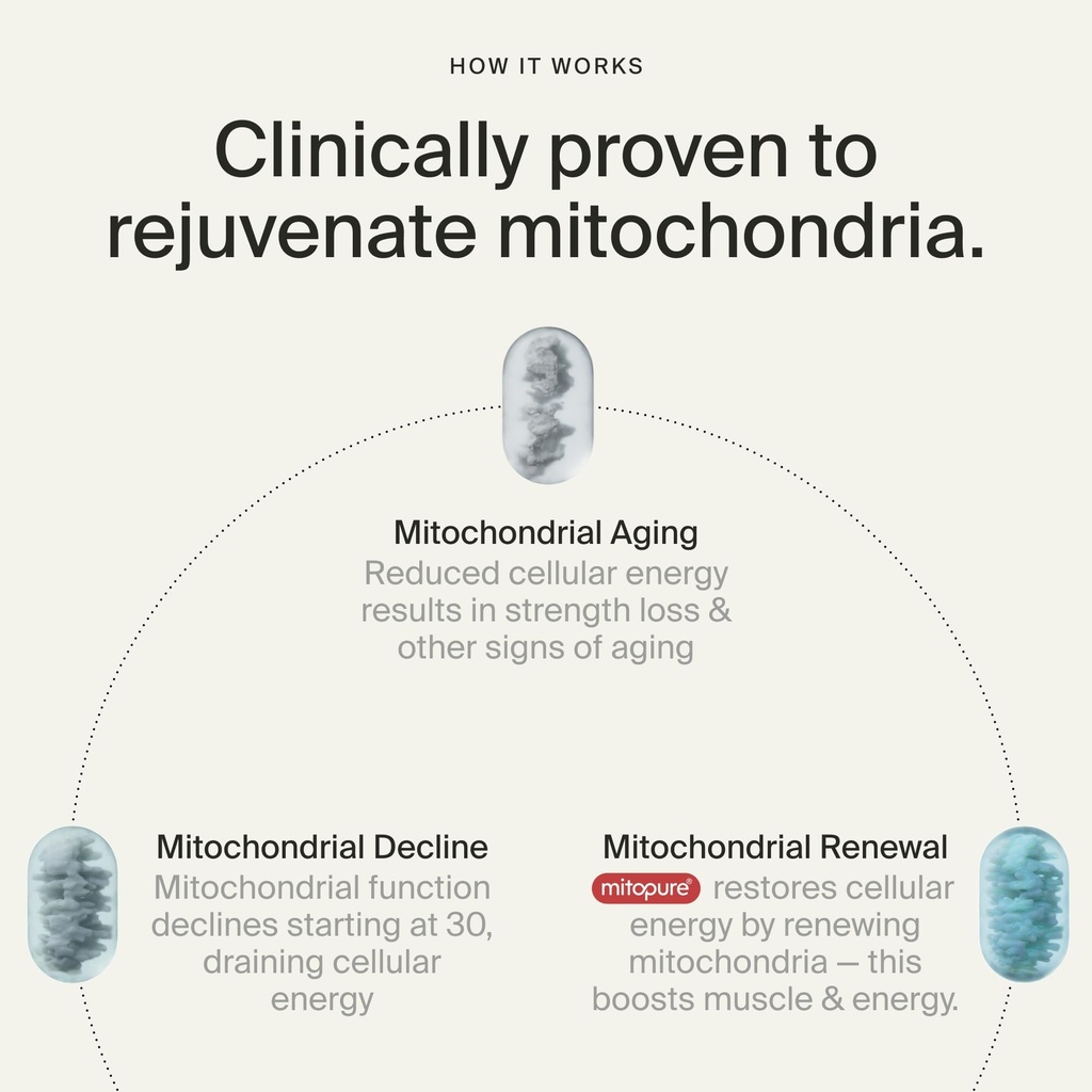 timeline-mitopure-urolithin-a-supplement-71r3CVWnGZL.jpg