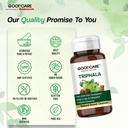goodcare-triphala-60-tablets-ayurvedic-r-91GiIiTqwyL.jpg