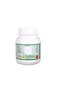 gandharvahastadi-kwath-churna-ayurvedic--611H4b9dAlL.jpg