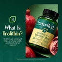 urolithin-a-632mg-with-nmn-nr-pqq-magnes-81dmNzoYM0L.jpg