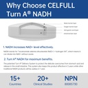 celfull-nadh-supplement-nmn-alternative--71QliW+hObL.jpg