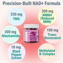 shizam-nmn-nmnh-nad-gummies-nad-suppleme-81GDCoZxNsL.jpg