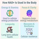 shizam-nmn-nmnh-nad-gummies-nad-suppleme-71SsVP2x7VL.jpg